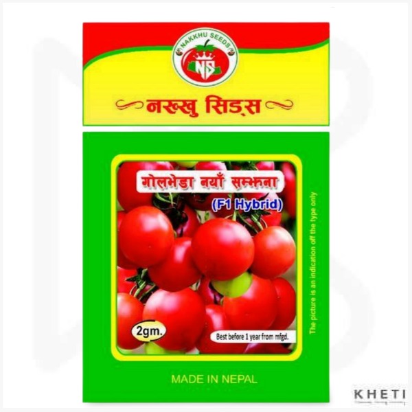 Tomato (Naya Samjhana)